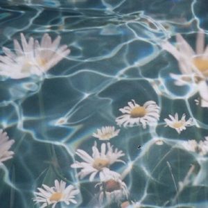 Meet your Posher, Marylee